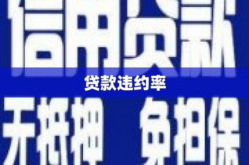 安顺贷款违约率