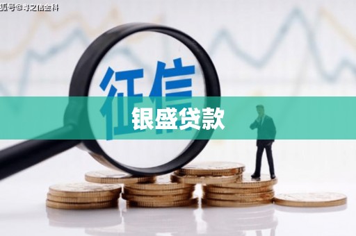 信州银盛贷款