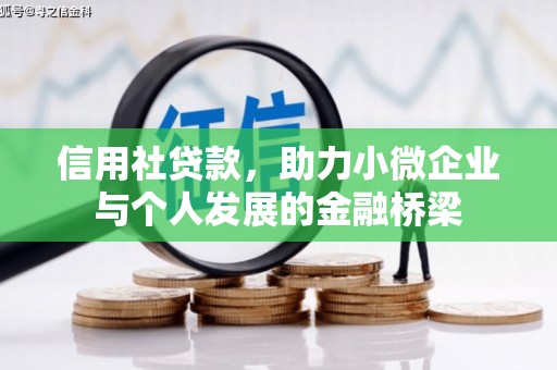 白山信用社贷款，助力小微企业与个人发展的金融桥梁