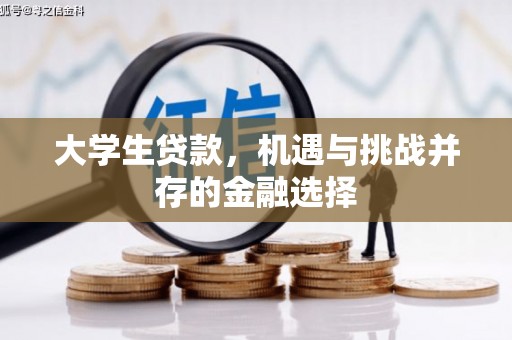 潮安大学生贷款，机遇与挑战并存的金融选择