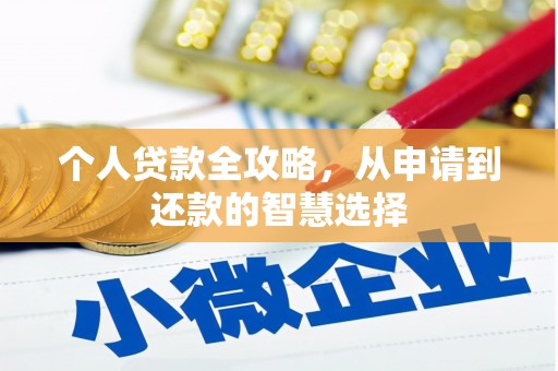 盐边个人贷款全攻略，从申请到还款的智慧选择