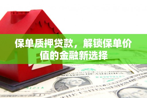 塔什库尔干塔吉克保单质押贷款，解锁保单价值的金融新选择