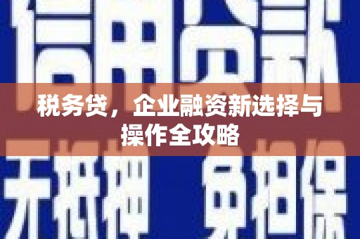 嵊泗税务贷，企业融资新选择与操作全攻略