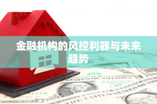 怀化金融机构的风控利器与未来趋势