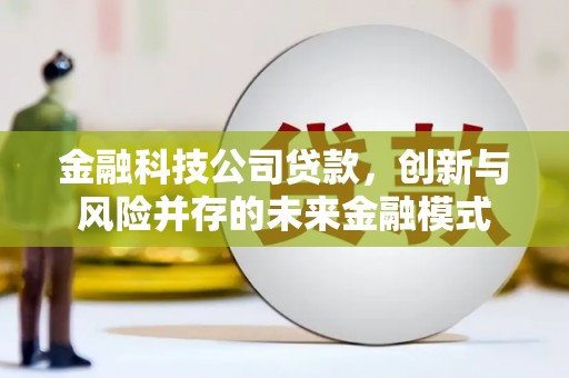 巩留金融科技公司贷款，创新与风险并存的未来金融模式
