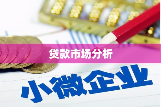 卧龙贷款市场分析
