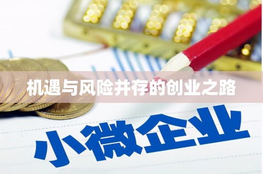 柳东机遇与风险并存的创业之路