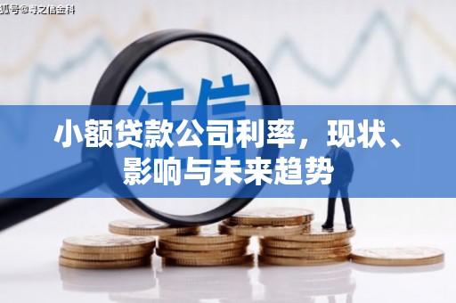 梧栖小额贷款公司利率，现状、影响与未来趋势