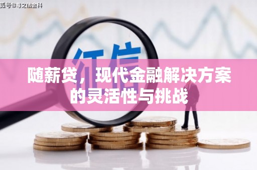哈尔滨随薪贷，现代金融解决方案的灵活性与挑战