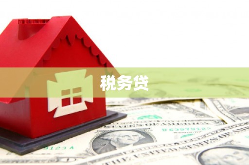 临沭税务贷
