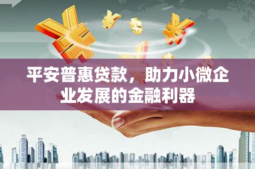 门源平安普惠贷款，助力小微企业发展的金融利器