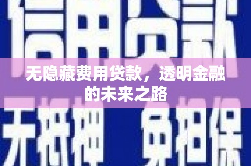 鹤庆无隐藏费用贷款，透明金融的未来之路