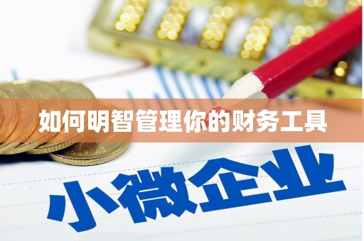 岚山如何明智管理你的财务工具