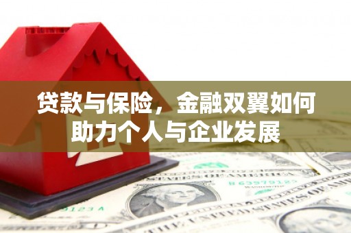 宣威贷款与保险，金融双翼如何助力个人与企业发展