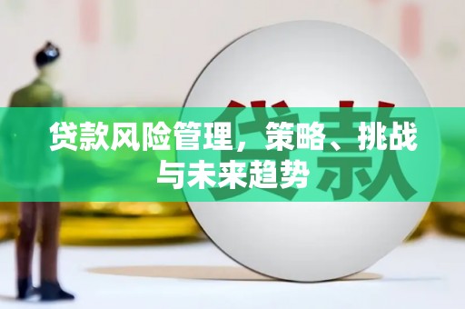 白山贷款风险管理，策略、挑战与未来趋势
