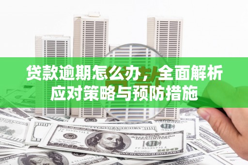九龙城贷款逾期怎么办，全面解析应对策略与预防措施
