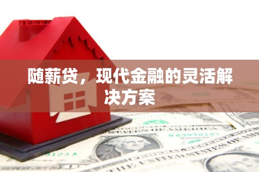 宣汉随薪贷，现代金融的灵活解决方案