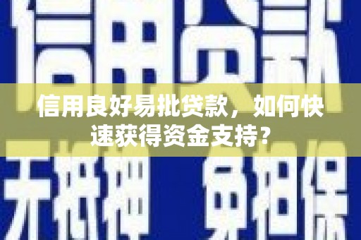 巧家信用良好易批贷款，如何快速获得资金支持？