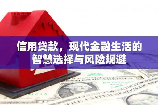 阿里信用贷款，现代金融生活的智慧选择与风险规避
