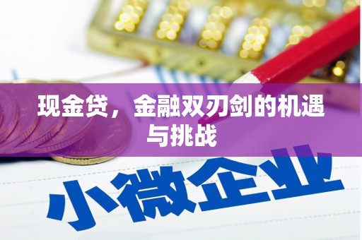 芦竹现金贷，金融双刃剑的机遇与挑战