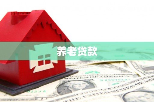 山上养老贷款