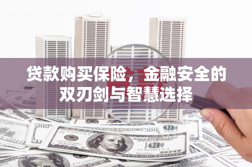 米脂贷款购买保险，金融安全的双刃剑与智慧选择
