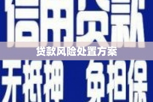 循化贷款风险处置方案