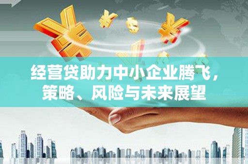 丰都经营贷助力中小企业腾飞，策略、风险与未来展望