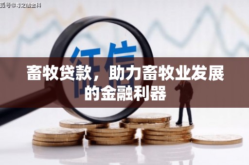 合山畜牧贷款，助力畜牧业发展的金融利器