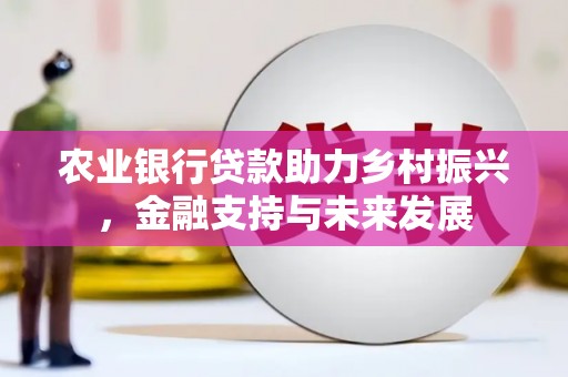 惠来农业银行贷款助力乡村振兴，金融支持与未来发展