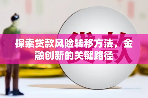 大名探索贷款风险转移方法，金融创新的关键路径
