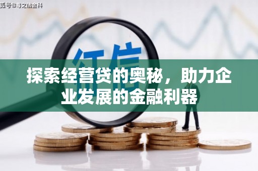 定远探索经营贷的奥秘，助力企业发展的金融利器