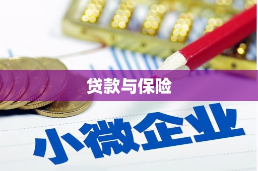 二林贷款与保险