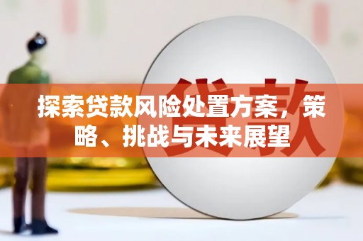 龙文探索贷款风险处置方案，策略、挑战与未来展望
