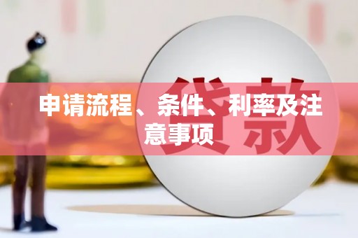 西畴申请流程、条件、利率及注意事项