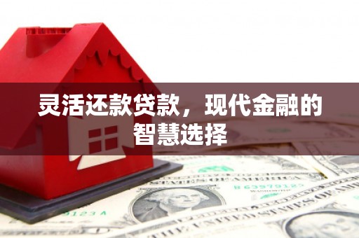 南开灵活还款贷款，现代金融的智慧选择