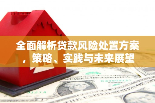 高邮全面解析贷款风险处置方案，策略、实践与未来展望