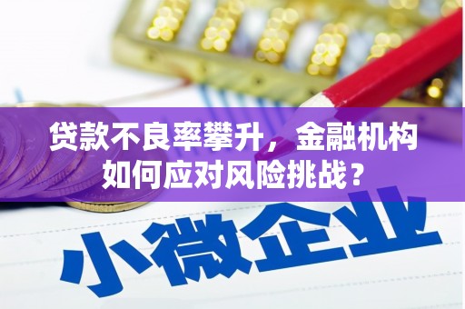 庄浪贷款不良率攀升，金融机构如何应对风险挑战？