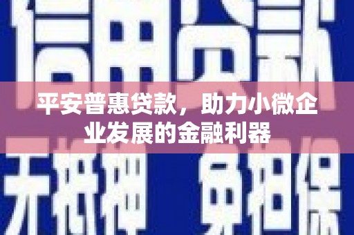 静海平安普惠贷款，助力小微企业发展的金融利器