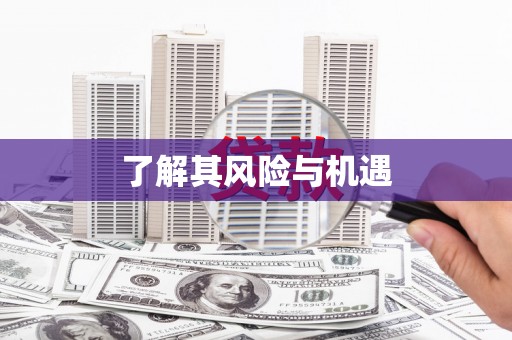 中堂了解其风险与机遇