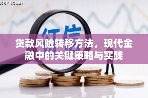 新华贷款风险转移方法，现代金融中的关键策略与实践