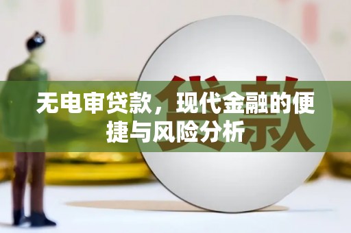 林园无电审贷款，现代金融的便捷与风险分析