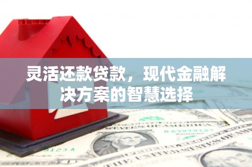 攀枝花灵活还款贷款，现代金融解决方案的智慧选择