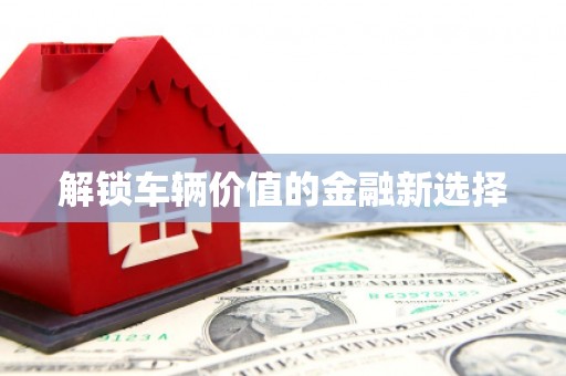 瑞昌解锁车辆价值的金融新选择