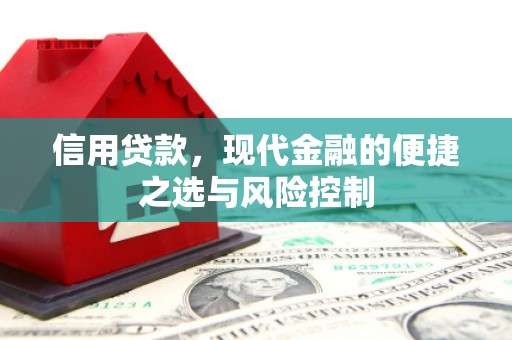山上信用贷款，现代金融的便捷之选与风险控制