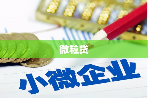 浮梁微粒贷