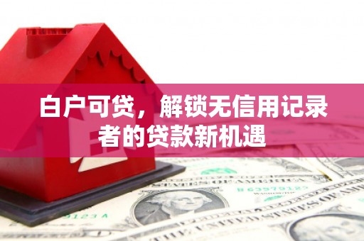 开平白户可贷，解锁无信用记录者的贷款新机遇