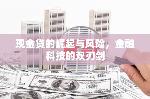 共和现金贷的崛起与风险，金融科技的双刃剑