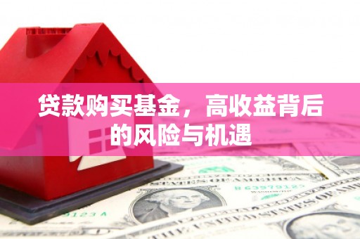 大丰贷款购买基金，高收益背后的风险与机遇