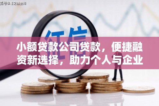 左云小额贷款公司贷款，便捷融资新选择，助力个人与企业成长